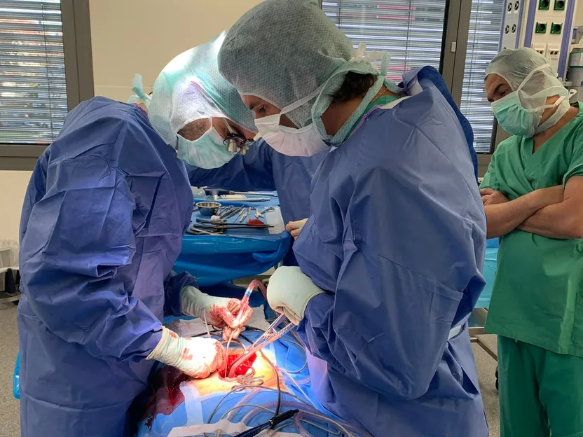 Dr. Guilherme Gontijo paramentado em treinamento cirúrgico da Aesculap, na Alemanha, em 2025